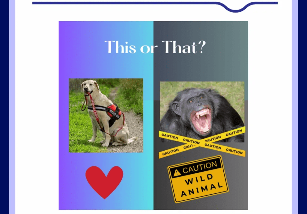 split screen with a service animal on the left and an angry monkey on the right with the words this or that